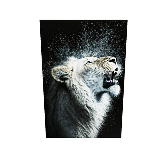 Tableau photo plexiglas lion blanc en train de rugir