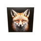 Tableau déco renard roux au pelage touffu, portrait photo sur fond noir, renard , pour salon.